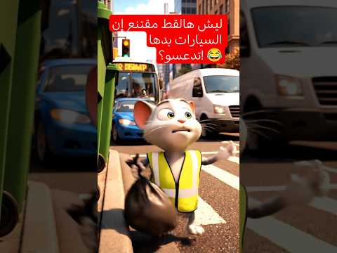 ليش هالقط مقتنع إن السيارات بدها تدعسو