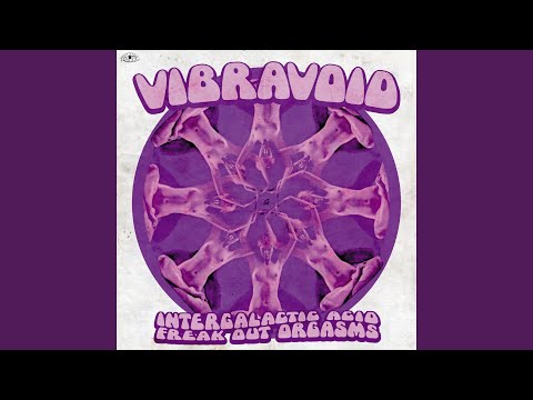 Vibravoid — Colour Your Mind