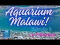 La filtration aquarium malawi