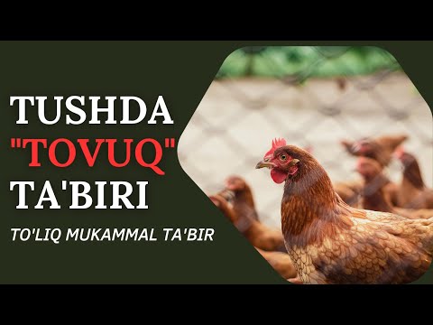 TUSHDA TOVUQ TABIRI | TUSHDA TOVUQ KO'RSA NIMA BO'LADI..!