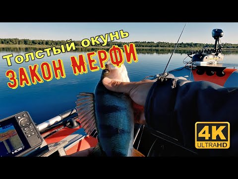 Как поймать крупного окуня, если не сработает закон подлости