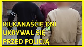 Legnica: Sterroryzował ochroniarzy