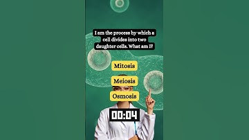 🌿 Decode the Mystery: Exploring Engaging Biology Riddles! 🧠