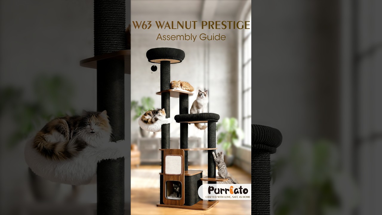 Purrlato W63 cat tree Walnut Prestige assembly guide - YouTube
