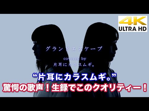 【4K】驚愕の歌声！生録でもこのクオリティー！グランドエスケープ（cover）" 片耳にカラスムギ。 " Music Video 4K動画