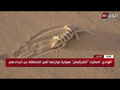 اصطياد الشرشمان أو سمك الصحراء هواية مفضلة لشباب الوادي