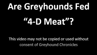 Are Greyhounds Fed 4-D Meat?