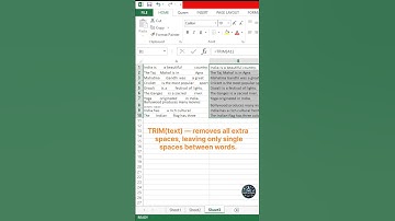 Clean Extra Spaces in Excel with TRIM | Excel Tip in 30 Seconds!