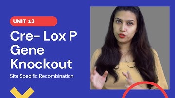 Cre - Lox P Gene Knock out | Site Specific  Recombination | CSIR | PYQs Included