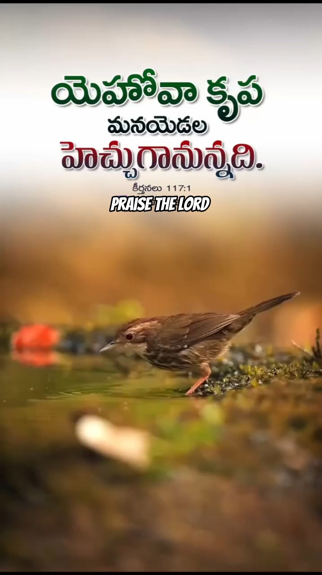 🎶భక్తి పాటలు🔱 - ShareChat