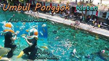 Thumbnail of The New Umbul Ponggok Klaten: The Sensation of Swimming and Taking Photos with Fish | Klaten's Hi...