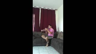 Canção Cisne Branco Trompete