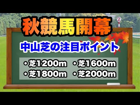 【競馬予想】秋競馬開幕！中山芝の注目ポイント