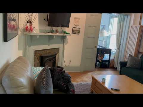 29 Hopedale Street, Allston, MA home video tour