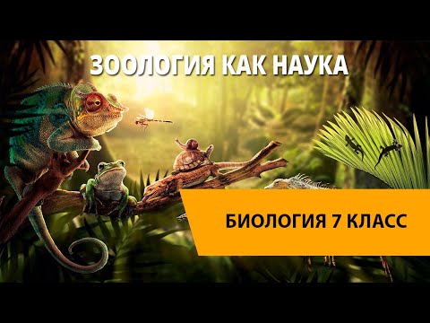 Зоология как наука