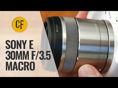 Sony E 30mm f/3.5 Macro lens review with samples