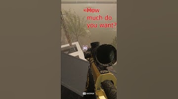 WEAPON CASE STOLEN 👑 DMZ THIEF