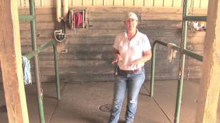 Horse Barn: Wash Racks