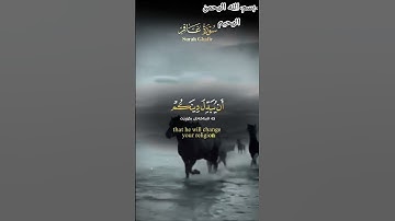 القران الكريم 🙏 راحه نفسيه 🤲🌲🌳