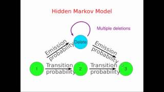 PSMs, HMMs, and COGs Profile