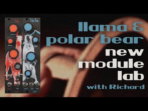 New Modules Llama Kick and Polar Bear Snare Patch Lab with Richard Nicol