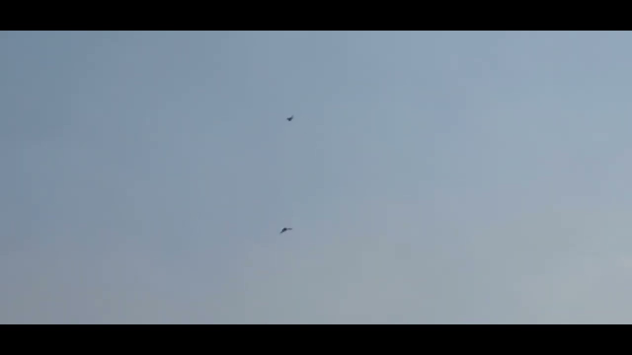 شذري عادل العامري