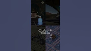 سورة الغاشية من الآية 10  👈🏻 12 #القارئ : عبد الرحمن مسعد 🖤🌼