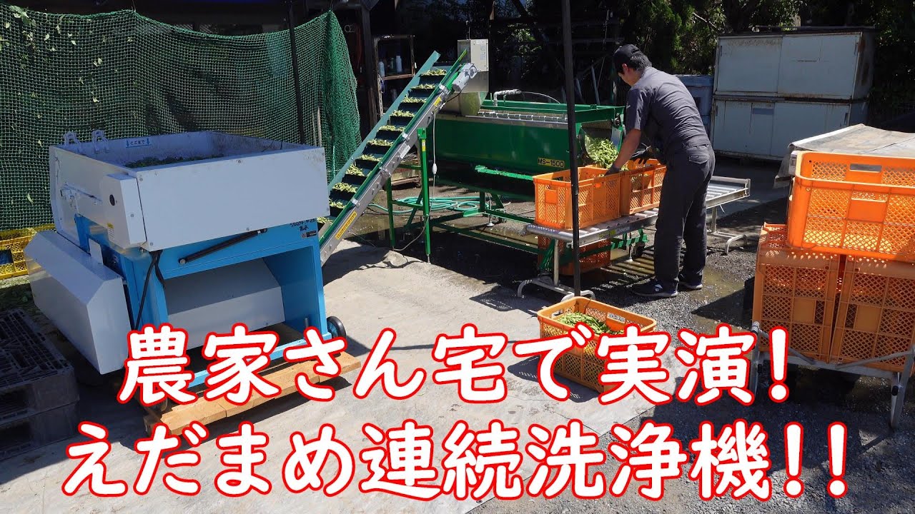 えだまめ連続洗浄機｜製品情報｜株式会社マツモト