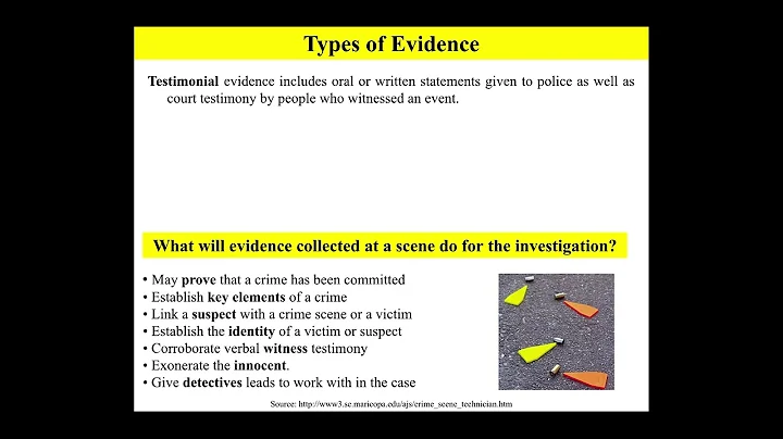 Crime Scene Basics - Mini Lesson