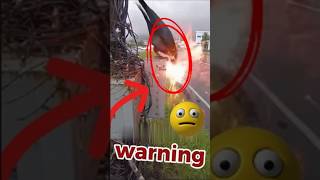 ⚡ Почему птицы не получают удар током? Как реально работает электрический забор! 🐦