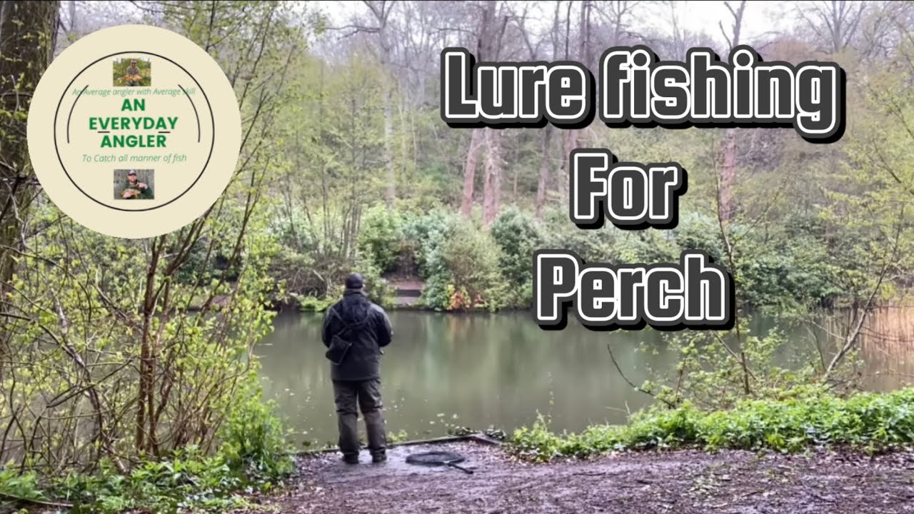 12 Lure Types for PERCH FISHING 🔥 (When, Where & How to Use Them