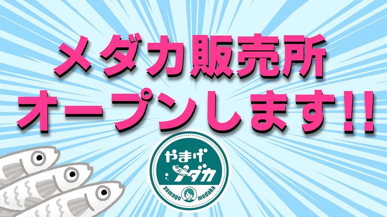埼玉県】やまげのメダカ無人販売所オープンします！【詳細情報】 - YouTube