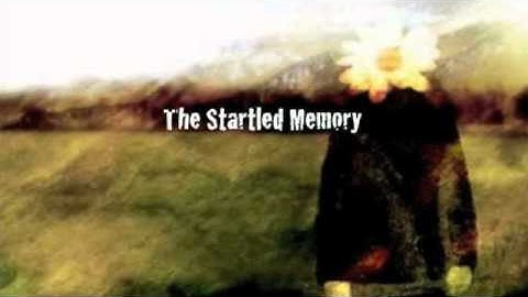 The Startled Memory-fields of empty people
