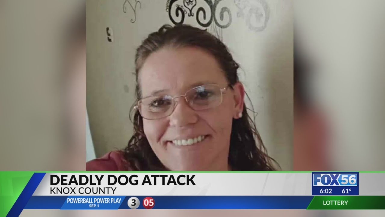 Knox County woman dies after pack of dogs attack her - YouTube