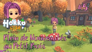 Hokko Life - Lets Play 5 - Plein de Nouveautés au Petit Bois 