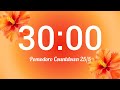 30 min Pomodoro Timer🧡| Summer Special Vibe Silent Pomodoro🌺| Morning Study With Me Session🍁| 25/5🍂