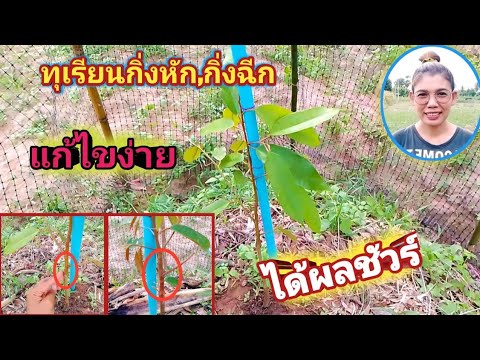 ผลสลากกินแบ่งรัฐบาล วันที่ 1 พย. 2567