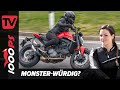 Neue Ducati Monster 2021 Erster Test - wie handlich ist sie wirklich?