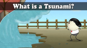 What is a Tsunami? | #aumsum #kids #science #education #children