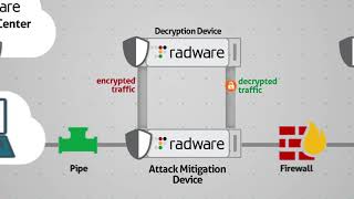 Radware SSL TLS Mitigation