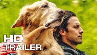 НЕВЕРОЯТНЫЙ МИР ГЛАЗАМИ ЭНЦО Русский Трейлер #1 (2019) Кевин Костнер Comedy Movie HD НЕВЕРОЯТНЫЙ МИР ГЛАЗАМИ ЭНЦО Русский Трейлер #1 (2019) Кевин Костнер Comedy Movie HD