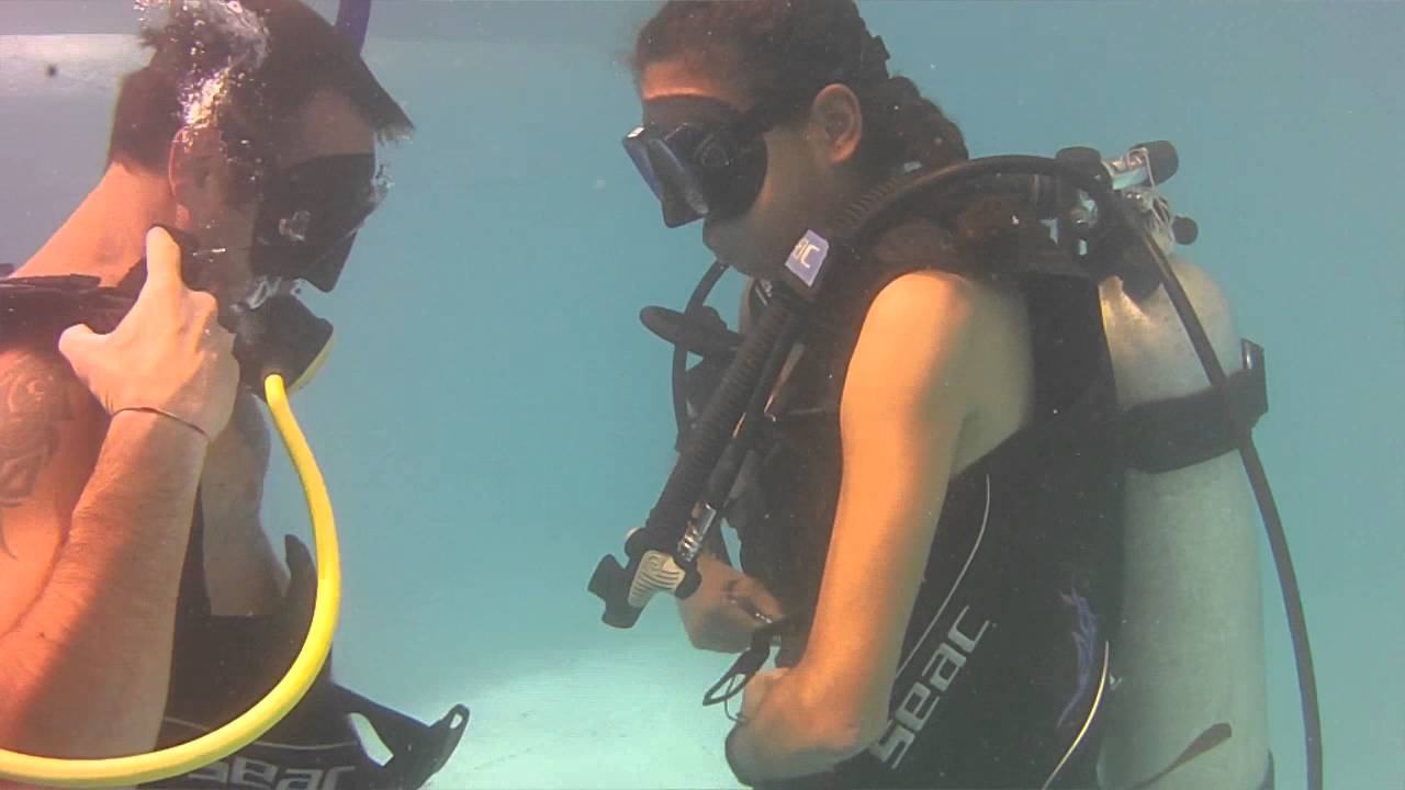 DiveMaster Equipment Exchange YouTube