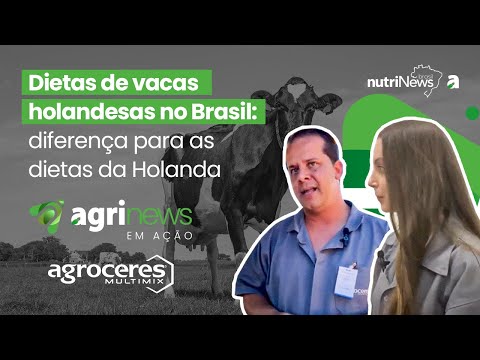 Dietas de vacas holandesas no Brasil: diferença para as dietas da Holanda