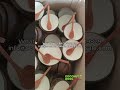 Wholesale white lacquer coconut bowls #handmade #coconutbowls #coconutbowlwholesale