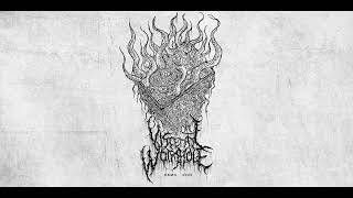 Visceral Wormhole - Demo 2026