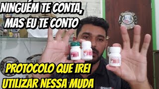COLEIRO ZEUS SEU PROTOCOLO DA MUDA ACABA DE CHEGAR, BORA PRA CIMA.