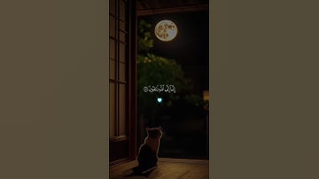 تلاوة خاشعة ومؤثرة للشيخ ماهر المعيقلي #اكسبلور  #حالات_واتس #راحة_نفسية #دويتو #فولو #تيك_توك