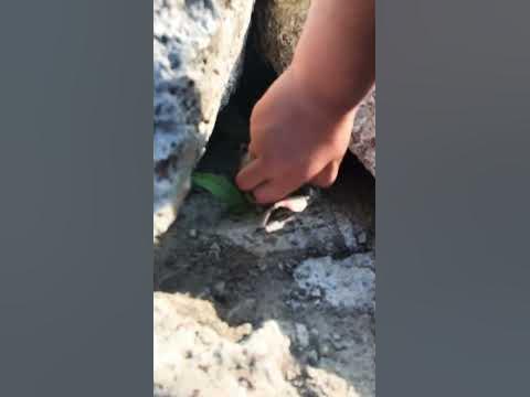 Коктель Молотова!😈🔥 - YouTube