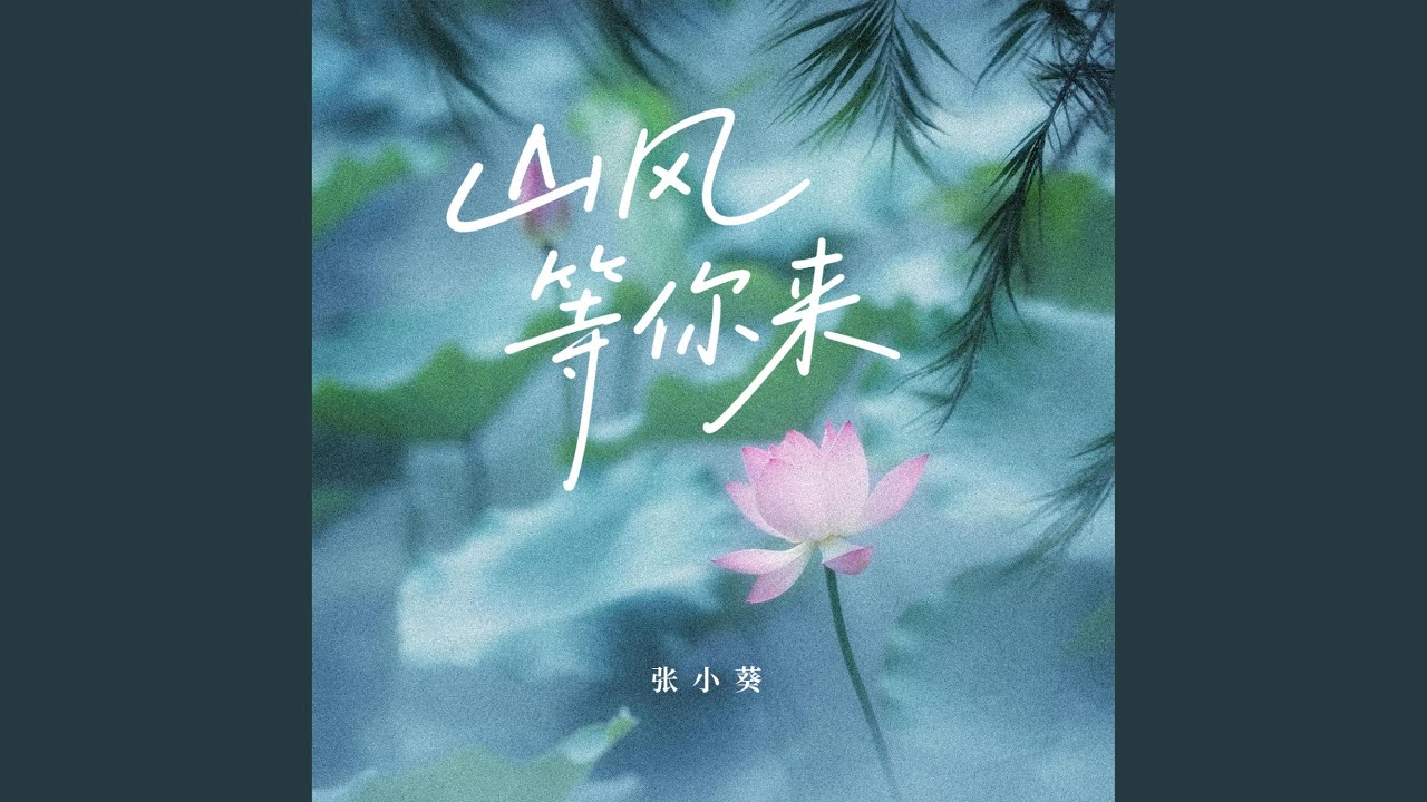 山风等你来