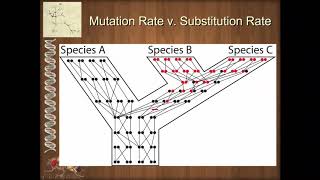 Unit 1 2 1 DNA Sequence and Mutations